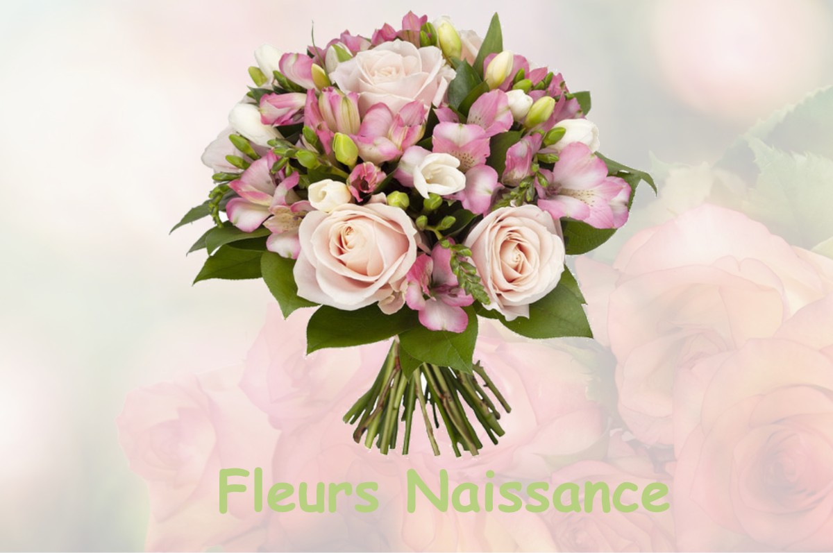 fleurs naissance VAIRES-SUR-MARNE